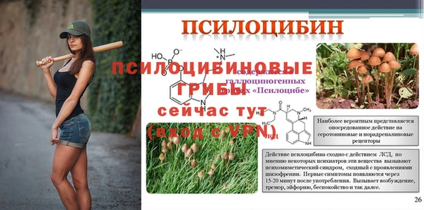 мдма Приозерск