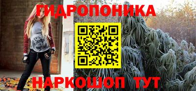 спиды Свободный